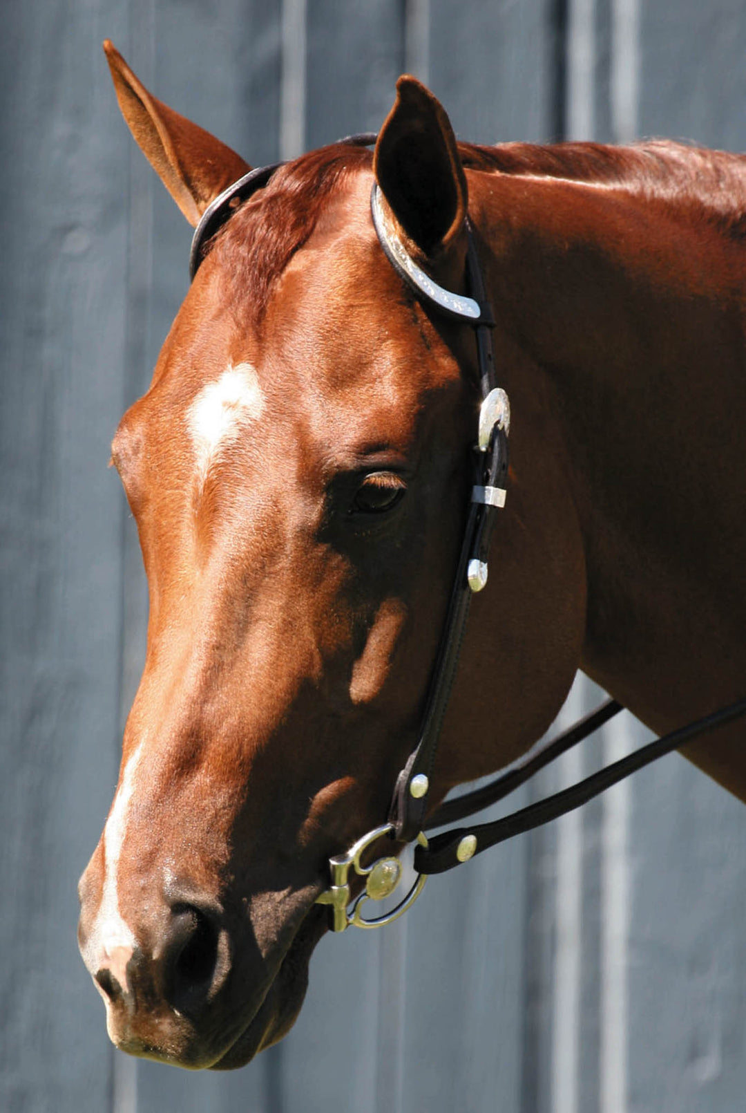 Tory Leather Oklahoma Double Ear Show Headstall