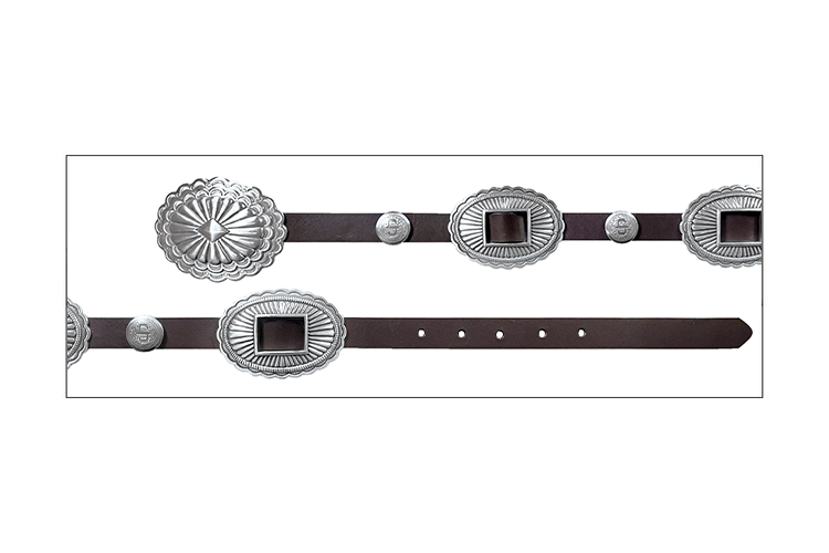 Stetson Women's Dark Brown with Silver Slider Conchos Belt