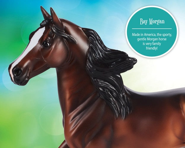 Breyer Bay Morgan Horse