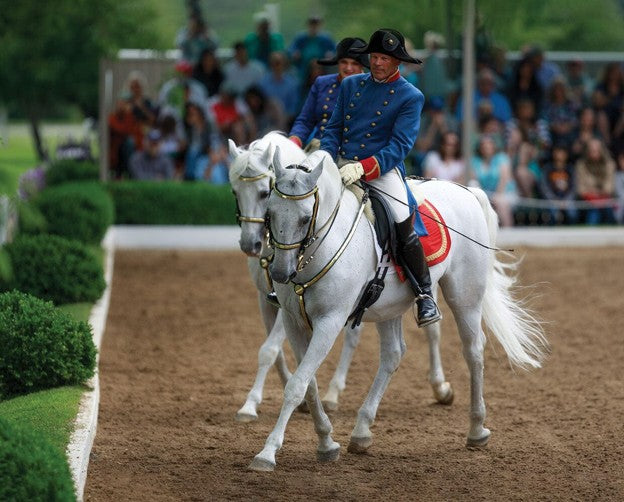 Breyer Lipizzan Horse Pluto Gratia