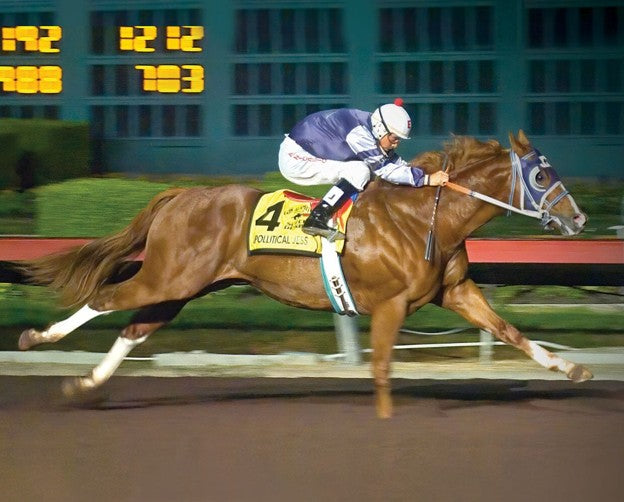 Breyer Horse Apollitical Jess