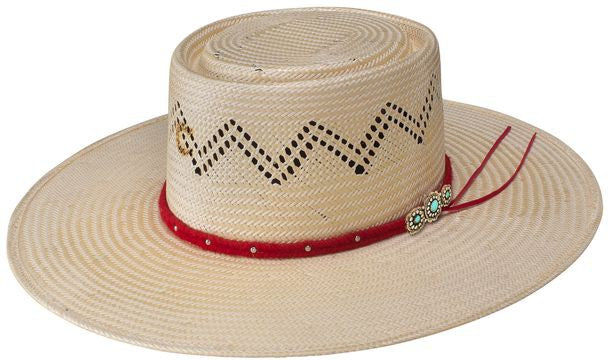 Charlie 1 Horse Painted Borders Straw Hat