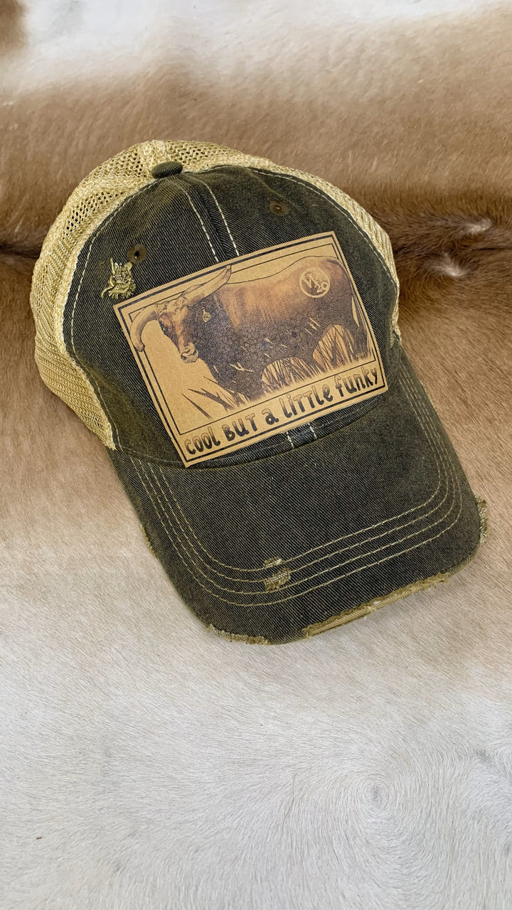 West 20 Vintage Distressed Cool But a Little Funky Ball Cap