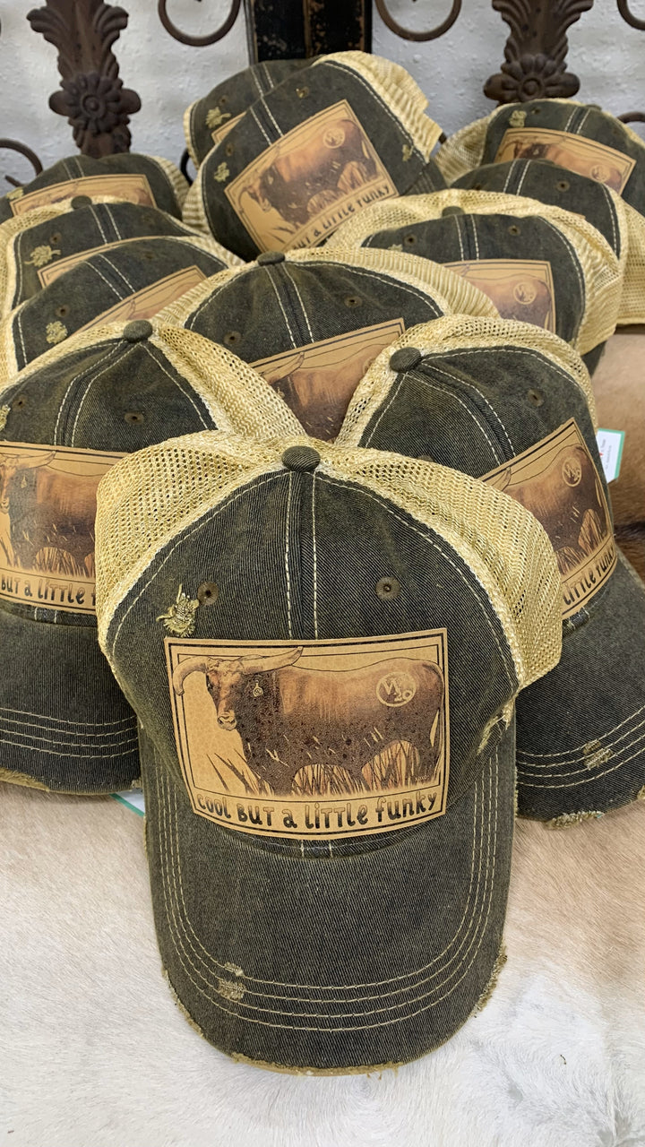 West 20 Vintage Distressed Cool But a Little Funky Ball Cap