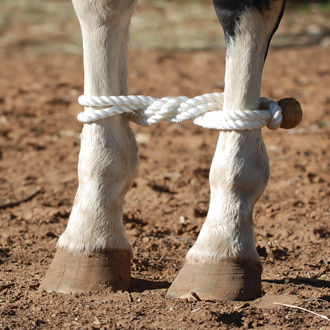 Horse Rope Hobbles: Essential Tips for Safe and Effective Use