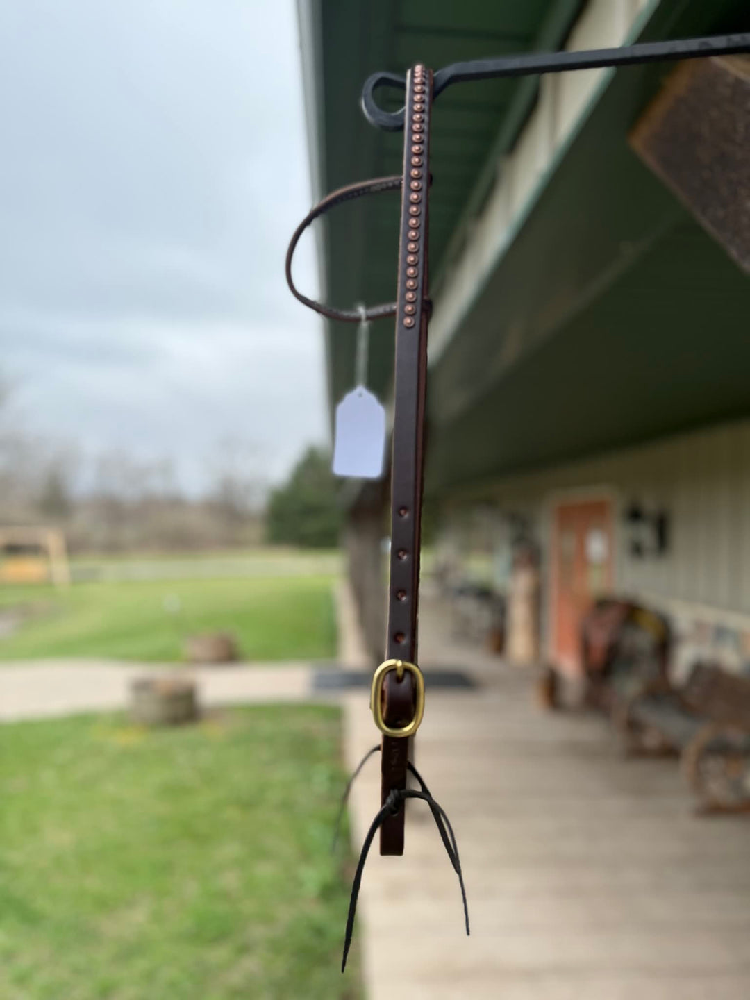 Dutton Bits Single Rolled Ear Headstall with Copper Rope Edge Dots