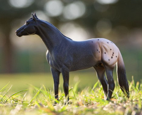 Breyer Blue Roan Appaloosa