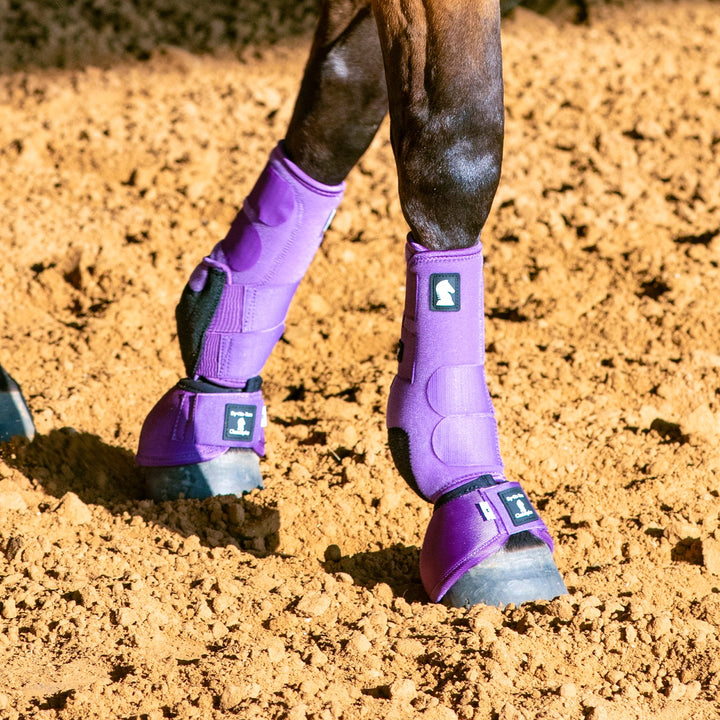 Classic Equine Legacy2 System-Violet Purple Front