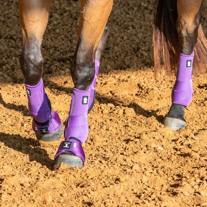 Classic Equine Legacy2 System-Violet Purple Front