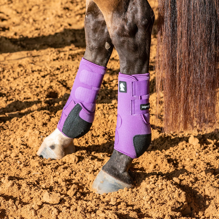 Classic Equine Legacy2 System-Violet Purple Rear