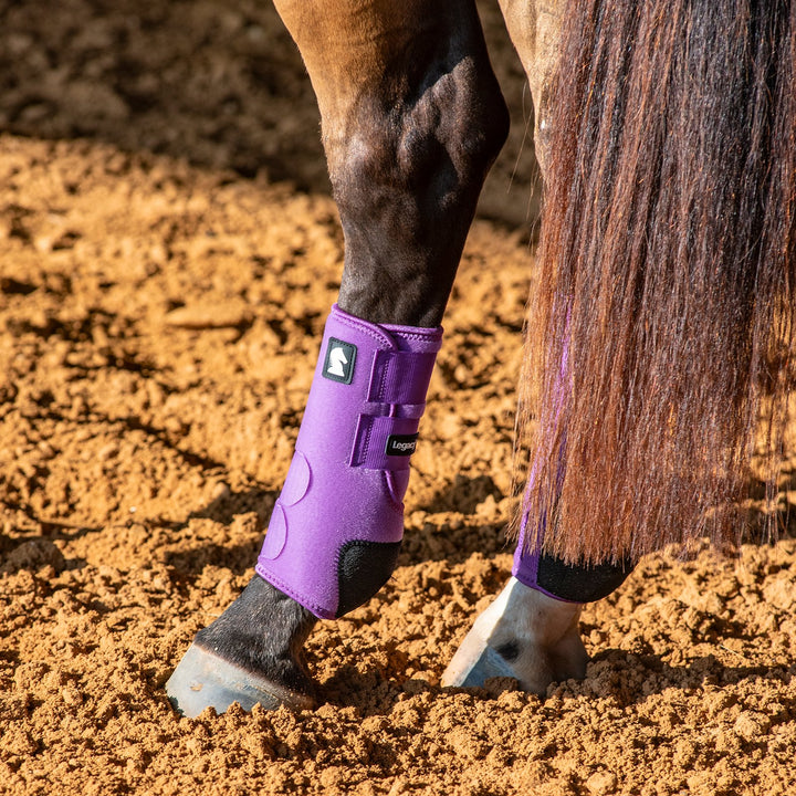Classic Equine Legacy2 System-Violet Purple Rear