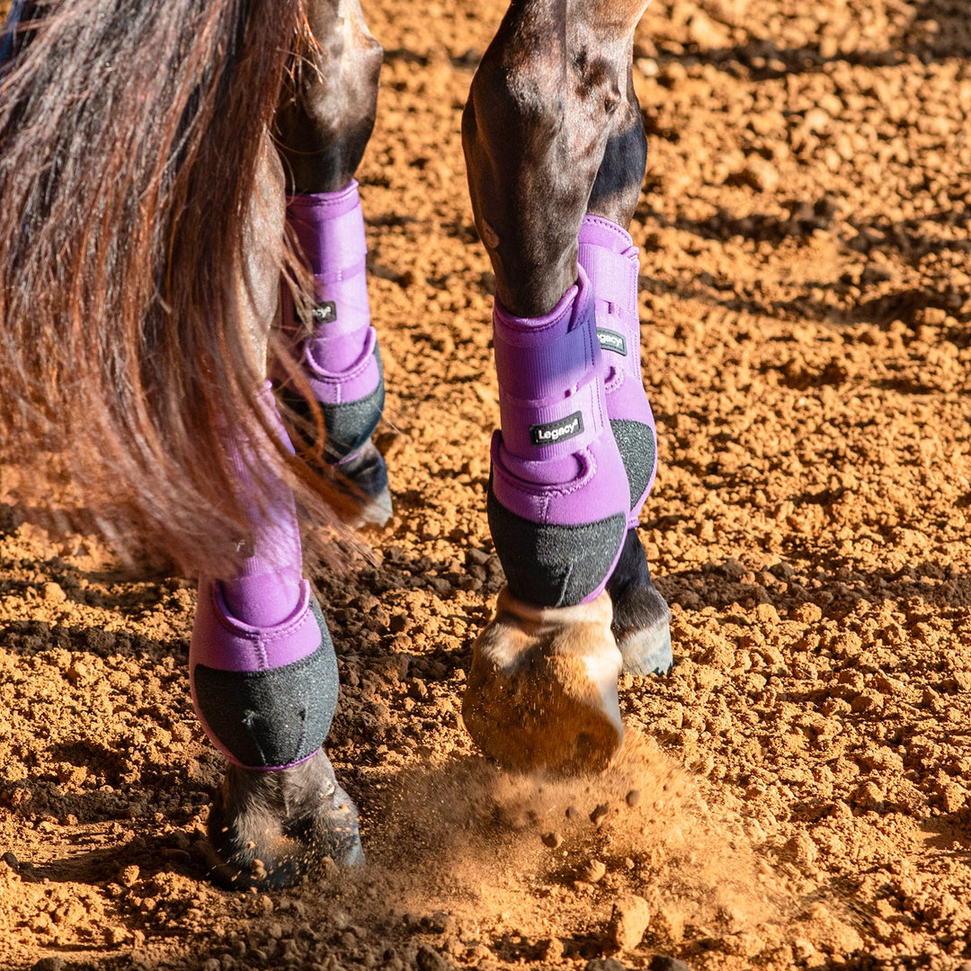 Classic Equine Legacy2 System-Violet Purple Rear