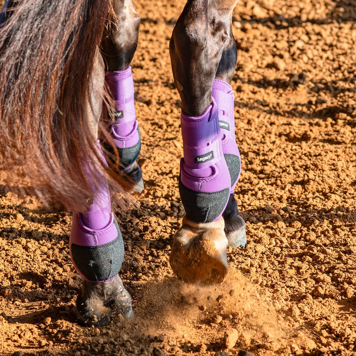 Classic Equine Legacy2 System-Violet Purple Rear