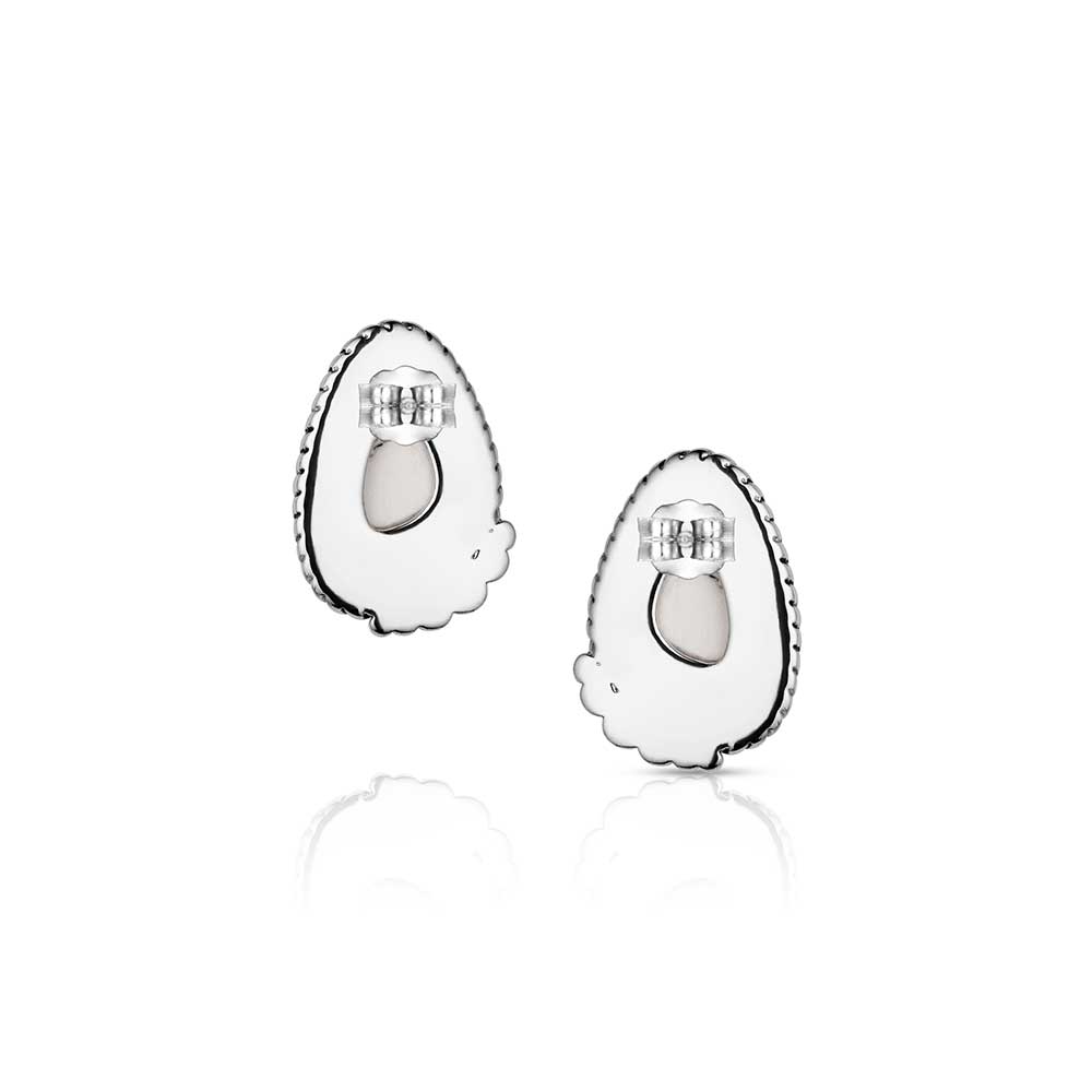 Montana Silversmiths Stargazer Earrings