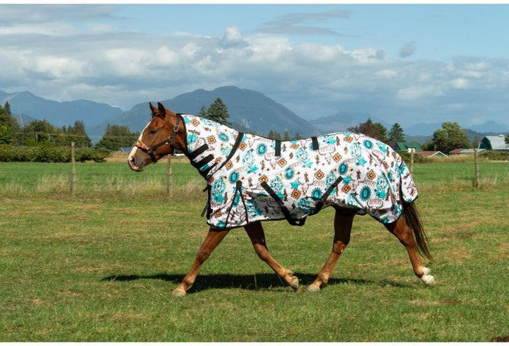 Schulz Equine Howdy Fly Sheet