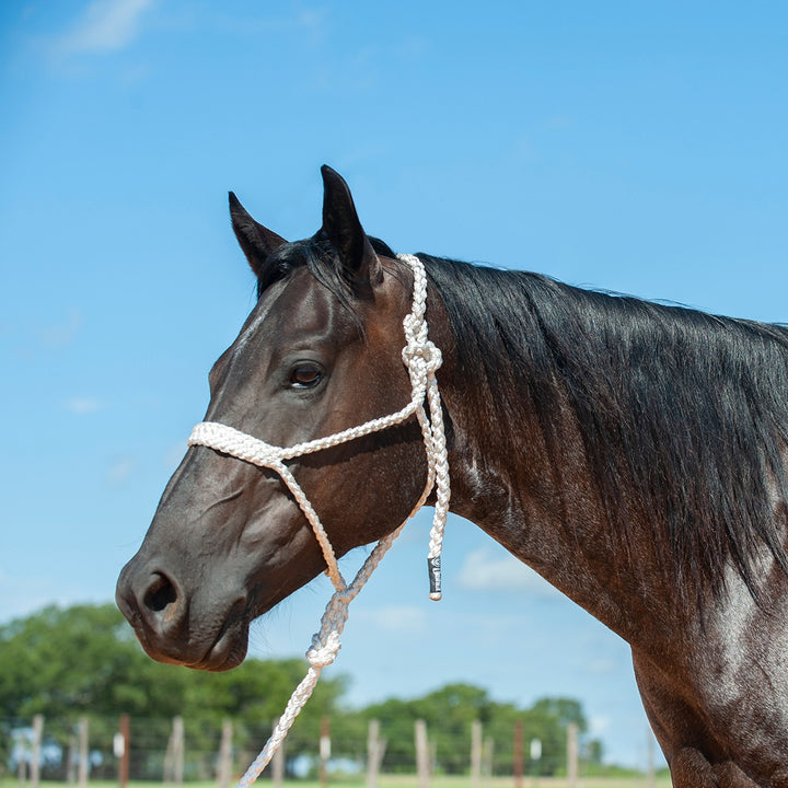 Cashel Flat Braid Halter