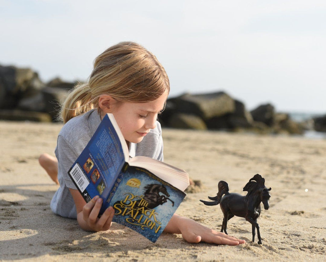 Breyer Black Stallion Horse and Book Set