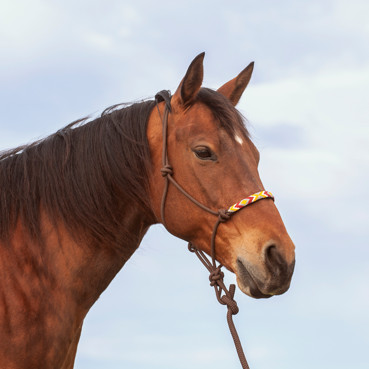 Cashel Beaded Nose Rope Halter-Chocolate