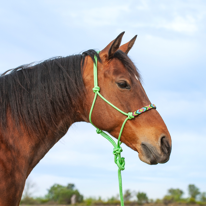 Cashel Beaded Nose Rope Halter-Lime Green