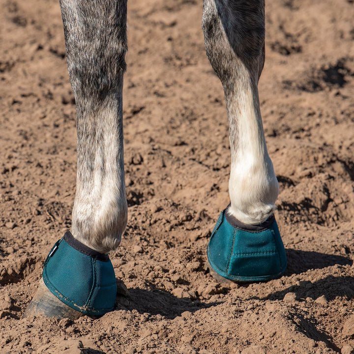Classic Equine DyNo Turn Bell Boot-Dragonfly Green