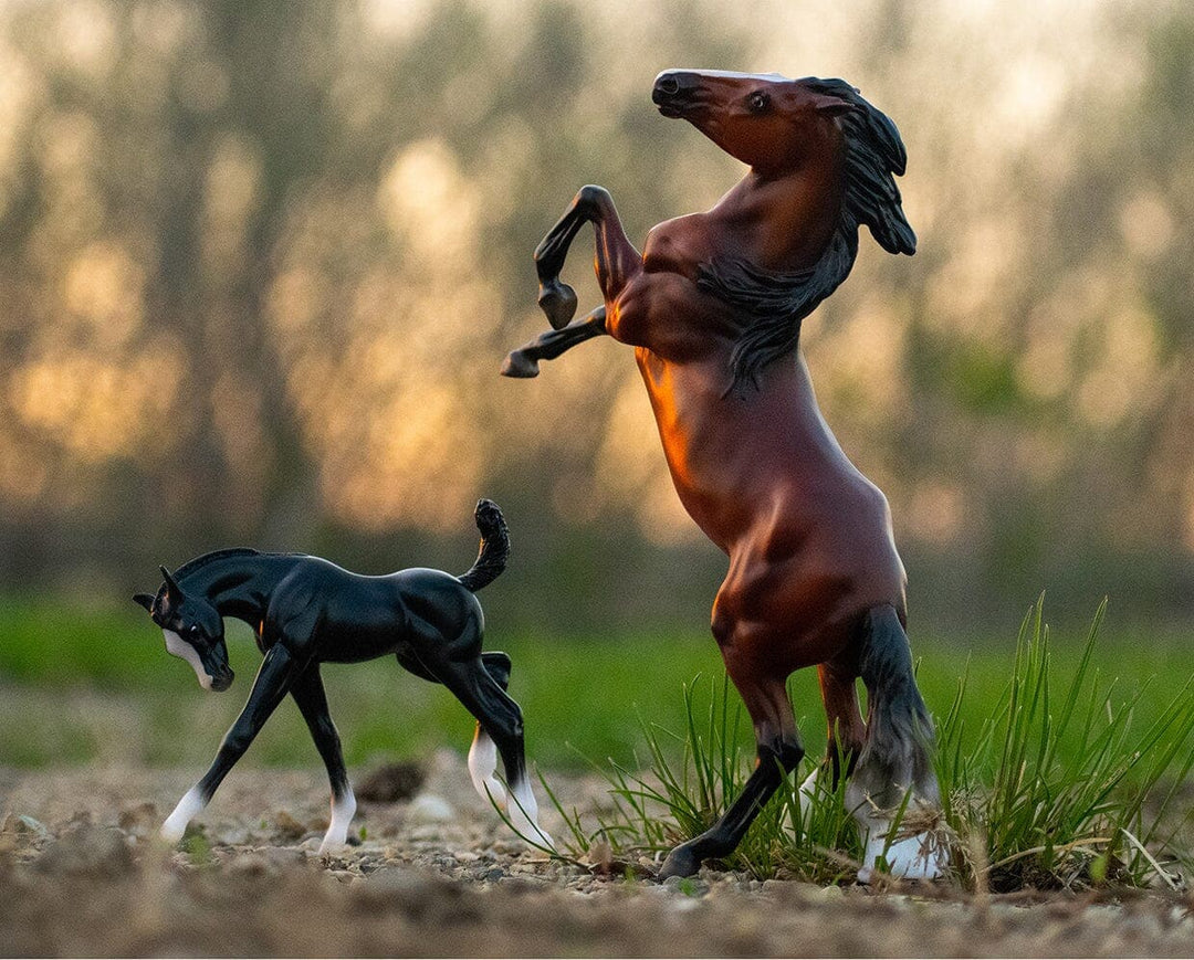 Breyer Wild and Free Horse and Foal Set