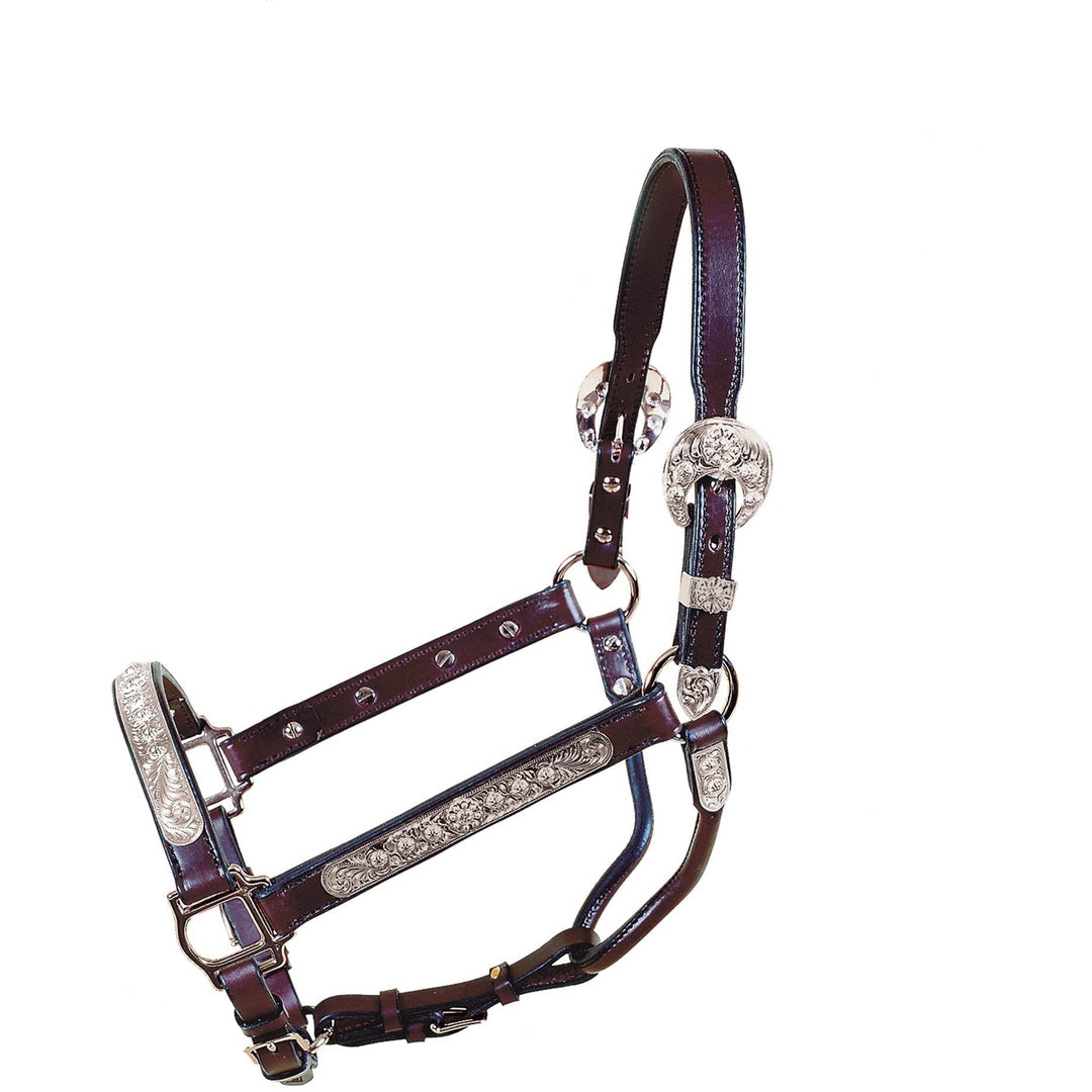 Tory Leather San Diego Silver with Raised Berries Show Halter