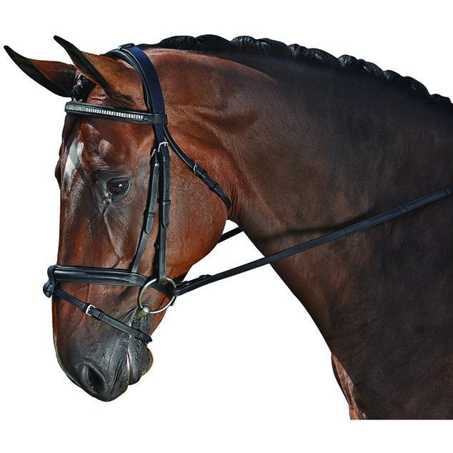 M. Toulouse Platinum Gemstone Dressage Bridle - West 20 Saddle Co.