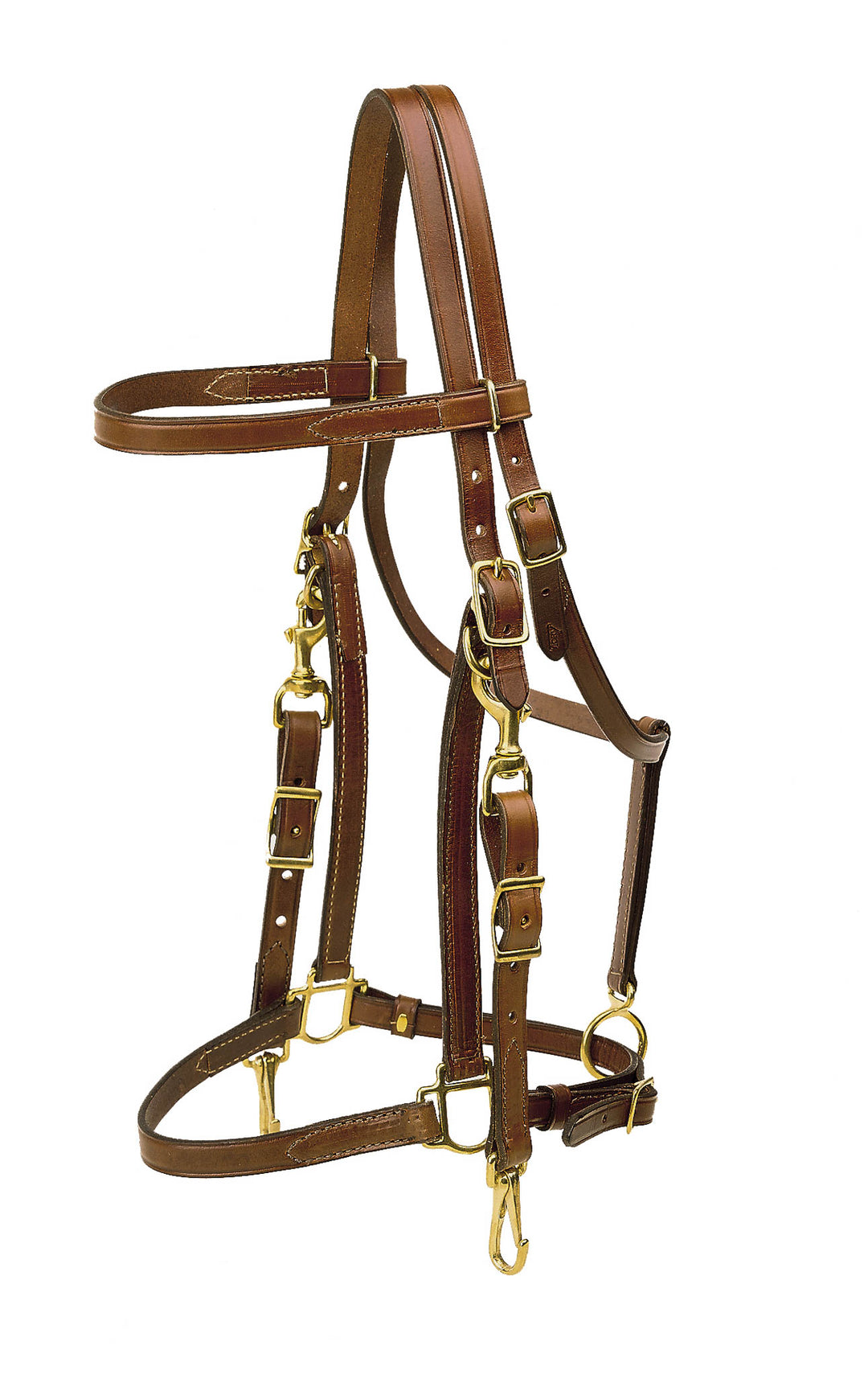 Tory Leather Combo Bridle and Halter