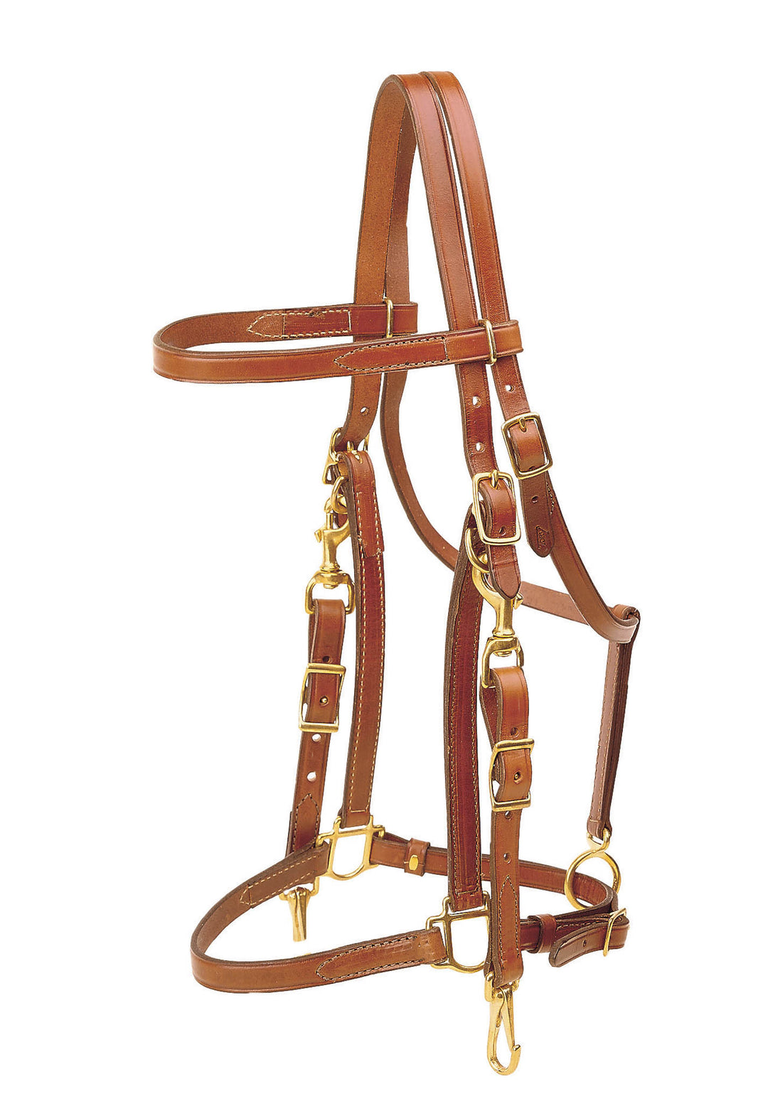 Tory Leather Combo Bridle and Halter