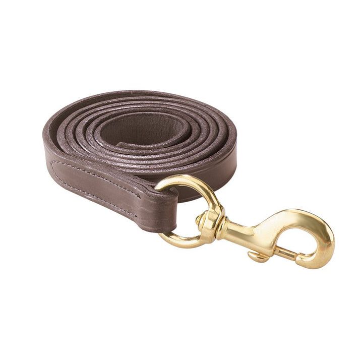 Perri's Leather Lead with Brass Snap