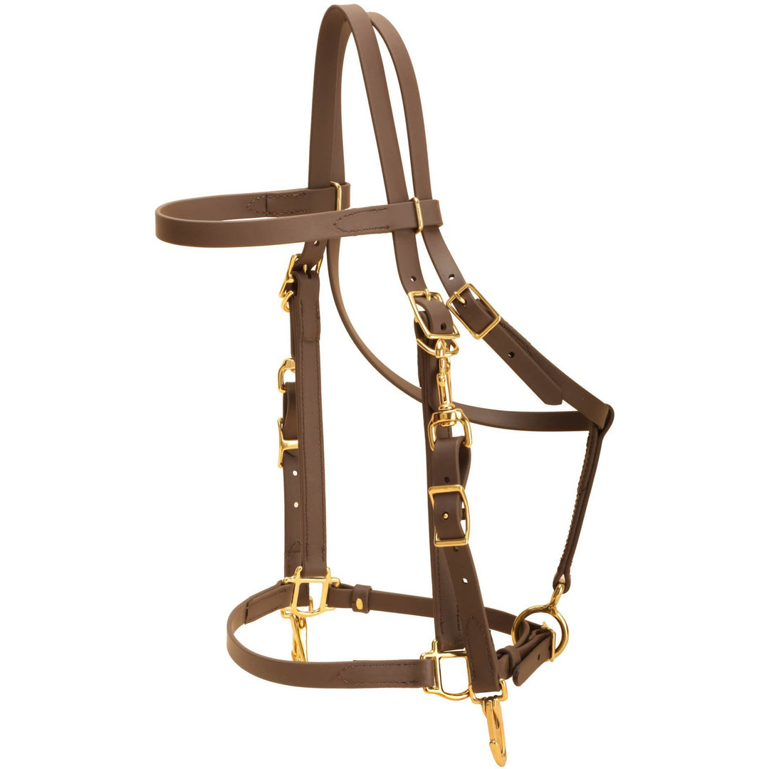 Tory Leather All Weather Combo Bridle