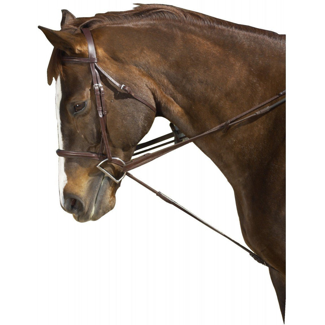 Ovation Cord Draw Reins - West 20 Saddle Co.
