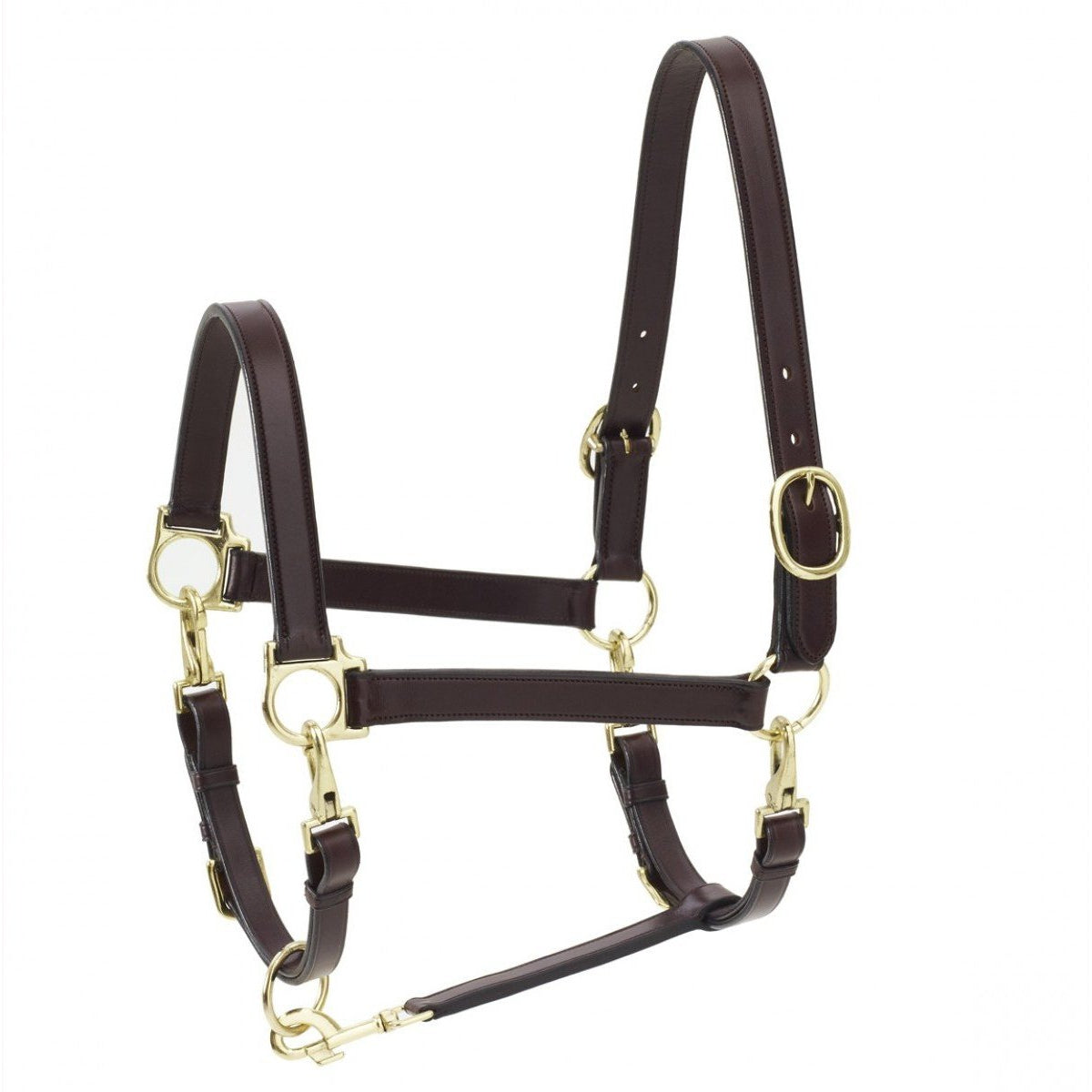 Ovation 4-Way Leather Grooming Halter - West 20 Saddle Co.
