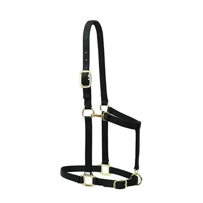 Weaver Leather Nylon Adjustable Large Draft Horse Halter, 1" - West 20 Saddle Co.