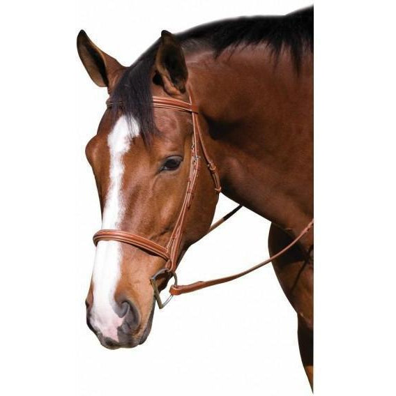 Henri de Rivel Horse Fancy Raised Padded Bridle With Laced Reins - West 20 Saddle Co.