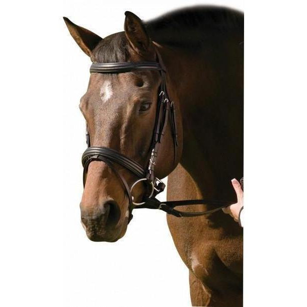 Henri de Rivel Padded Raised Dressage Bridle With Jawband Crank And Flash With Web Reins - West 20 Saddle Co.