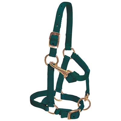 Weaver Leather Miniature Horse Adjustable Chin and Throat Snap Halter, 5/8" Average - West 20 Saddle Co.