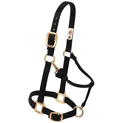 Weaver Leather Original Adjustable Chin and Throat Snap Halter, 1" Average Horse or Yearling Draft - West 20 Saddle Co.