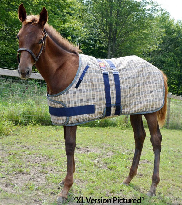 5/A Baker Foal Expand-O Blanket