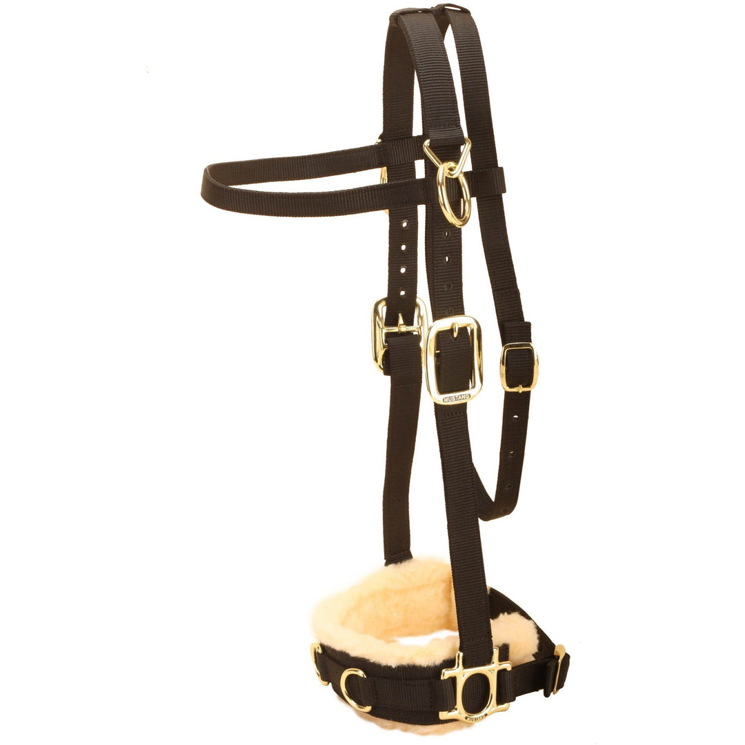 Tory Leather Nylon Lunge Caveson