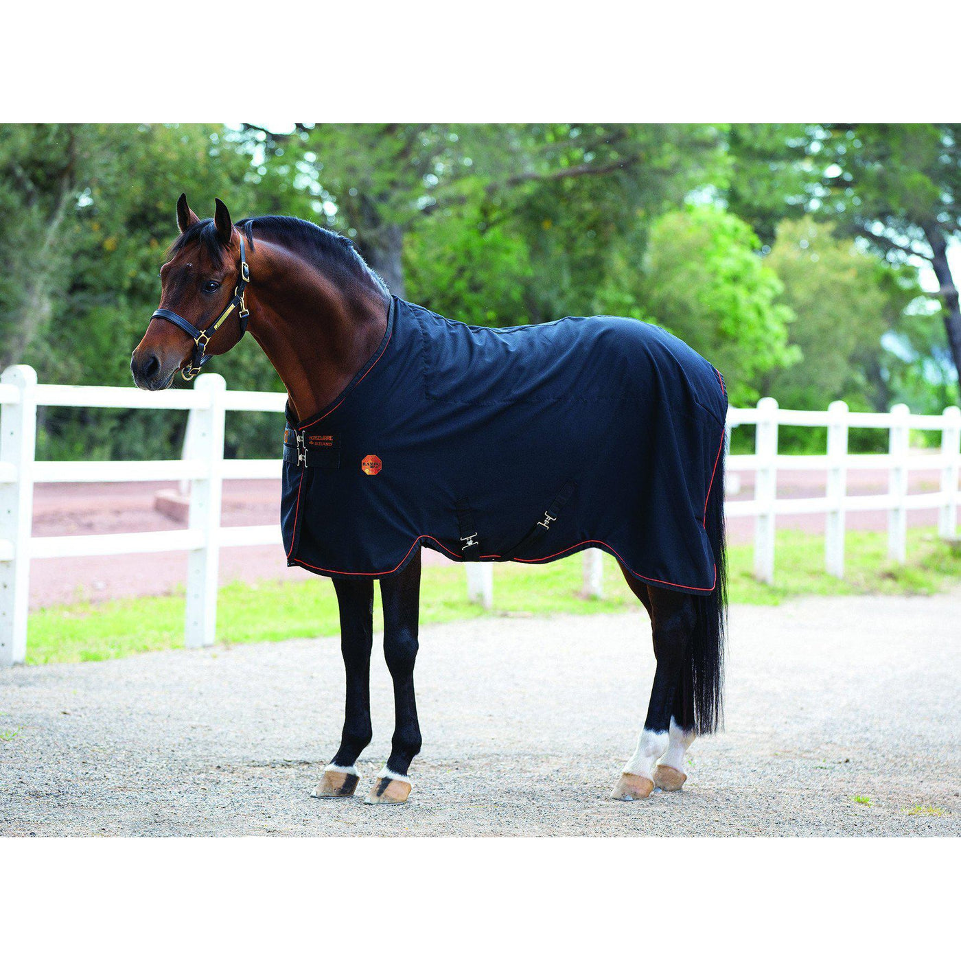 Rambo Ionic Stable Sheet - West 20 Saddle Co.