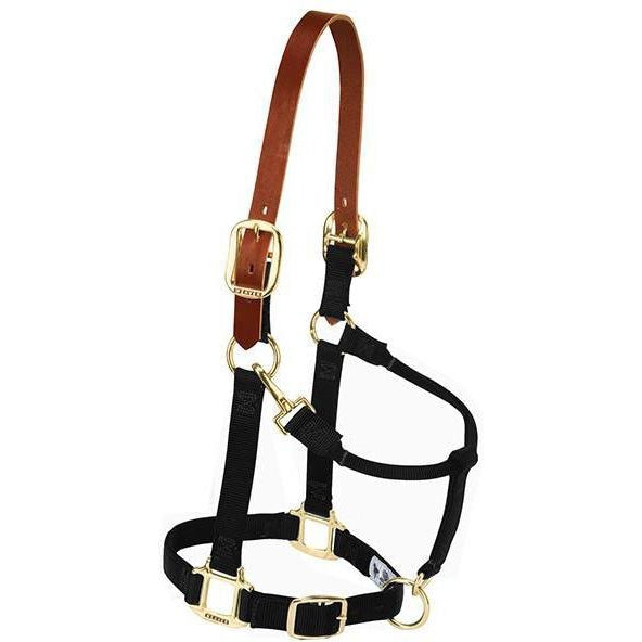 Weaver Leather Breakaway Original Adjustable Chin and Throat Snap Halter, 1" Yearling Horse - West 20 Saddle Co.