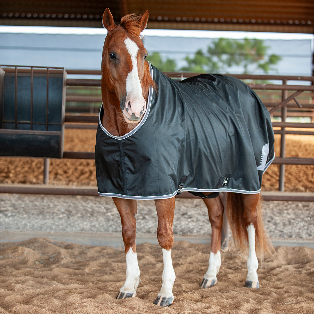Classic Equine Closed Front Stable Sheet-Black