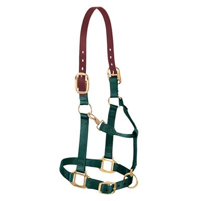 Weaver Leather Small Breakaway Original Adjustable Chin and Throat Snap Halter - West 20 Saddle Co.