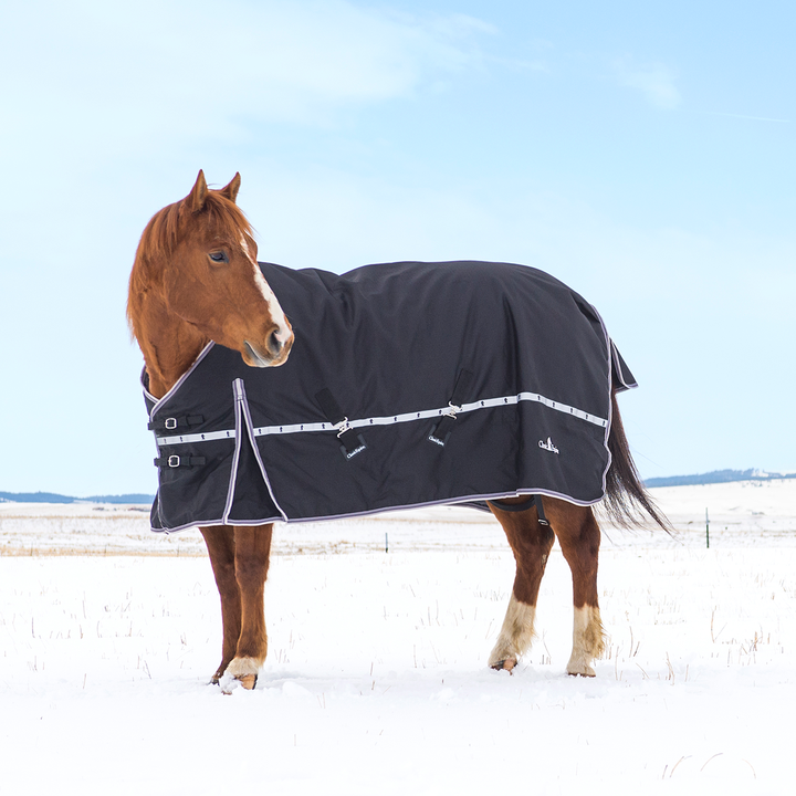 Classic Equine X Trainer 10K Blanket With Hood