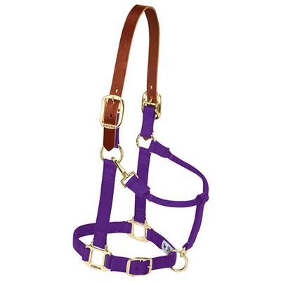 Weaver Leather Average Breakaway Original Adjustable Chin and Throat Snap Halter - West 20 Saddle Co.