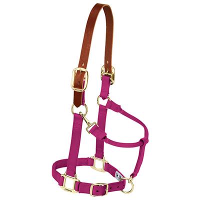 Weaver Leather Average Breakaway Original Adjustable Chin and Throat Snap Halter - West 20 Saddle Co.