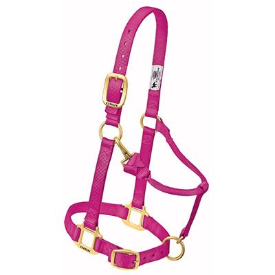 Weaver Leather Original Adjustable Chin and Throat Snap Halter, 1" Average Horse or Yearling Draft - West 20 Saddle Co.