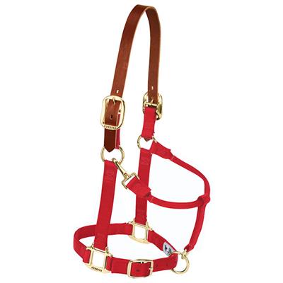 Weaver Leather Breakaway Original Adjustable Chin and Throat Snap Halter, 1" Yearling Horse - West 20 Saddle Co.