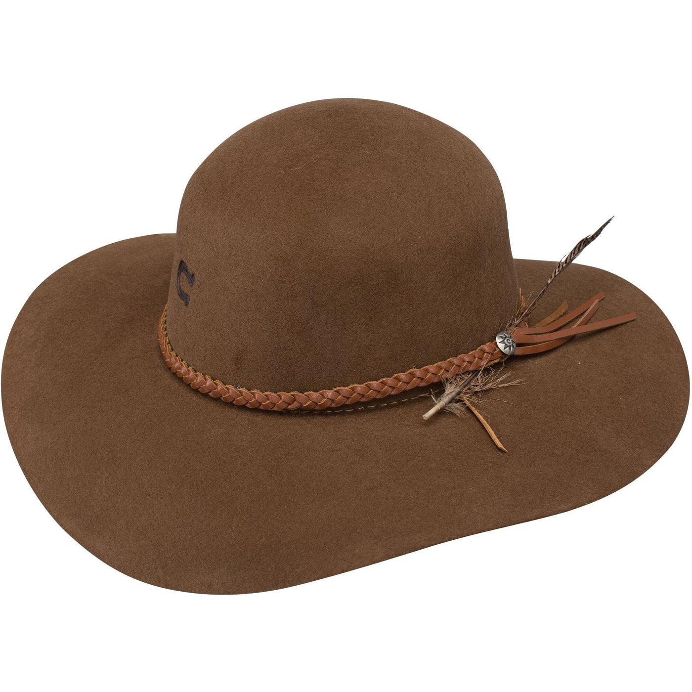Charlie 1 Horse Acorn Highway Hat